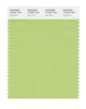Pantone SMART Color Swatch 13-0331 TCX Sap Green