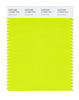 Pantone SMART Color Swatch 13-0550 TCX Lime Punch