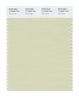 Pantone SMART Color Swatch 13-0608 TCX Aloe Wash