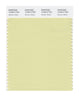 Pantone SMART Color Swatch 13-0614 TCX Garden Glade