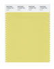 Pantone SMART Color Swatch 13-0632 TCX Endive