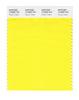 Pantone SMART Color Swatch 13-0858 TCX Vibrant Yellow