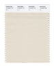 Pantone SMART Color Swatch 13-0905 TCX Birch