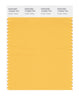 Pantone SMART Color Swatch 13-0942 TCX Amber Yellow
