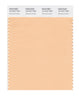 Pantone SMART Color Swatch 13-1017 TCX Almond Cream
