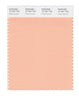 Pantone SMART Color Swatch 13-1021 TCX Prairie Sunset