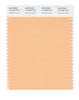 Pantone SMART Color Swatch 13-1022 TCX Caramel Cream