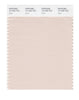 Pantone SMART Color Swatch 13-1405 TCX Shell