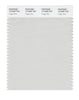 Pantone SMART Color Swatch 13-4305 TCX Foggy Dew