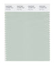 Pantone SMART Color Swatch 13-5305 TCX Pale Aqua