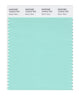 Pantone SMART Color Swatch 13-5412 TCX Beach Glass