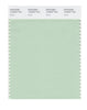 Pantone SMART Color Swatch 13-6007 TCX Spray