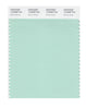 Pantone SMART Color Swatch 13-6009 TCX Brook Green