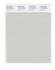 Pantone SMART Color Swatch 13-6106 TCX Green Tint