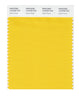 Pantone SMART Color Swatch 13-0759 TCX Solar Power