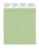 Pantone SMART Color Swatch 14-0121 TCX Nile Green