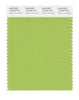 Pantone SMART Color Swatch 14-0244 TCX Bright Lime Green