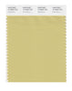 Pantone SMART Color Swatch 14-0626 TCX Dried Moss