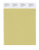 Pantone SMART Color Swatch 14-0826 TCX Pampas