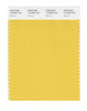 Pantone SMART Color Swatch 14-0848 TCX Mimosa