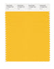 Pantone SMART Color Swatch 14-0955 TCX Citrus