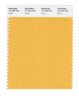 Pantone SMART Color Swatch 14-1045 TCX Amber