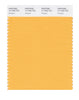 Pantone SMART Color Swatch 14-1050 TCX Marigold