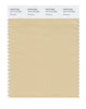 Pantone SMART Color Swatch 14-1113 TCX Marzipan