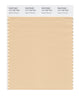 Pantone SMART Color Swatch 14-1120 TCX Apricot Illusion