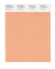 Pantone SMART Color Swatch 14-1224 TCX Coral Sands