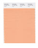 Pantone SMART Color Swatch 14-1227 TCX Peach