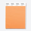 Pantone Polyester Swatch Card 14-1229 TSX Euphorbia