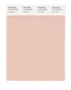 Pantone SMART Color Swatch 14-1312 TCX Pale Blush
