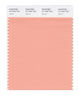 Pantone SMART Color Swatch 14-1323 TCX Salmon