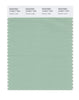 Pantone SMART Color Swatch 14-6011 TCX Grayed Jade
