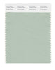 Pantone SMART Color Swatch 14-6312 TCX Cameo Green