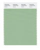 Pantone SMART Color Swatch 14-6319 TCX Meadow