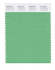 Pantone SMART Color Swatch 14-6329 TCX Absinthe Green