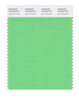 Pantone SMART Color Swatch 14-6340 TCX Spring Bouquet
