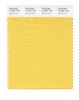 Pantone SMART Color Swatch 14-0851 TCX Samoan Sun
