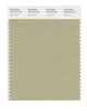 Pantone SMART Color Swatch 15-0318 TCX Sage Green