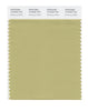 Pantone SMART Color Swatch 15-0525 TCX Weeping Willow