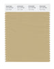 Pantone SMART Color Swatch 15-1119 TCX Taos Taupe