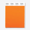 Pantone Polyester Swatch Card 15-1260 TSX Fall Fantasy