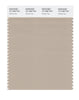 Pantone SMART Color Swatch 15-1306 TCX Oxford Tan