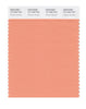 Pantone SMART Color Swatch 15-1333 TCX Canyon Sunset
