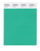 Pantone SMART Color Swatch 15-5728 TCX Mint Leaf