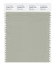 Pantone SMART Color Swatch 15-6307 TCX Agate Gray