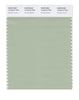 Pantone SMART Color Swatch 15-6315 TCX Smoke Green