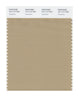 Pantone SMART Color Swatch 15-1114 TCX Travertine